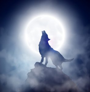 Howling wolf