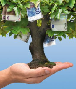 Money tree