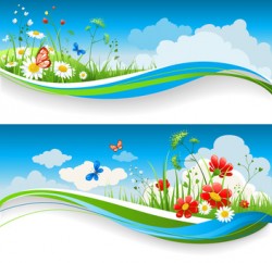 Two summer natural banners with flowes and blue sky