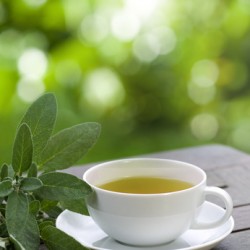 Sage tea with green leaves served on the terrace