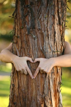environmentalist hugging pine tree and making a heart.