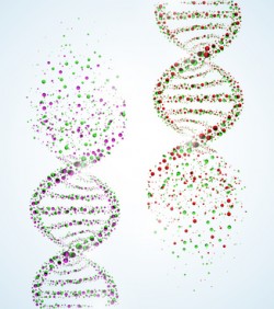 Image of a DNA molecule, showing its destruction. Eps 10