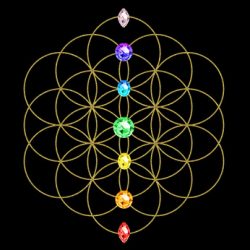 Chakra - Blume des Lebens - Energie Symbol