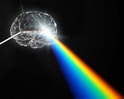A brain shaped prism dispersing white light